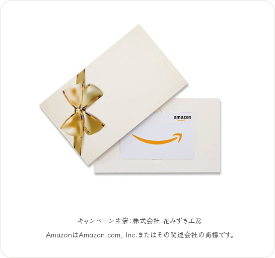 Amazonギフトカード5,000円分
