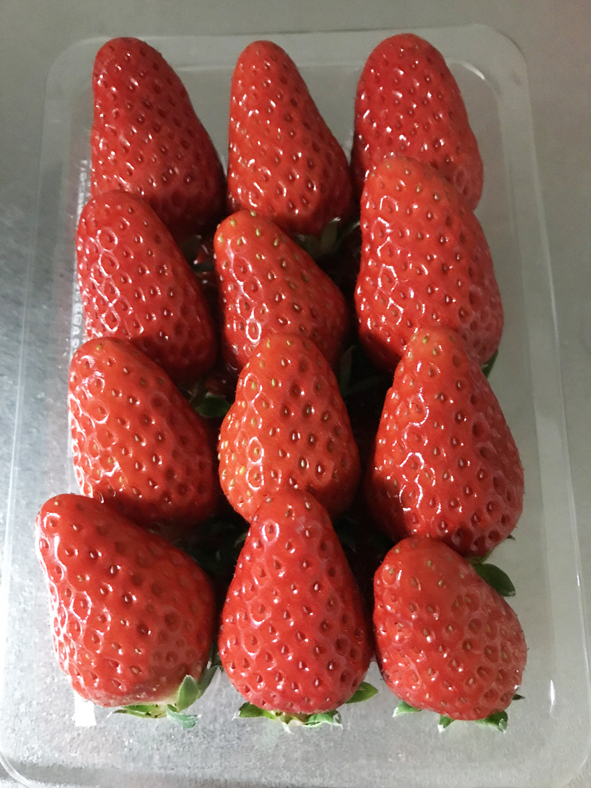 苺は冷やしてはいけない 美味しい食べ方は ブログ 浜松市 静岡市の注文住宅 花みずき工房