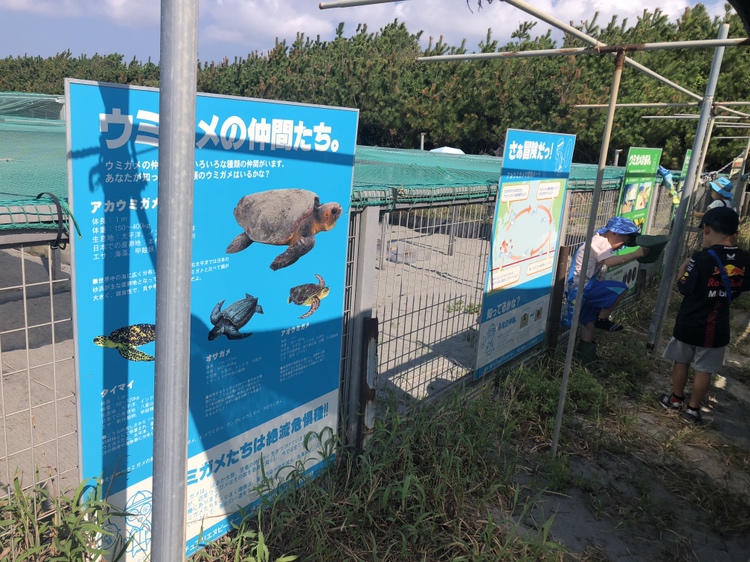 ウミガメに関する看板が取り付けられたフェンス