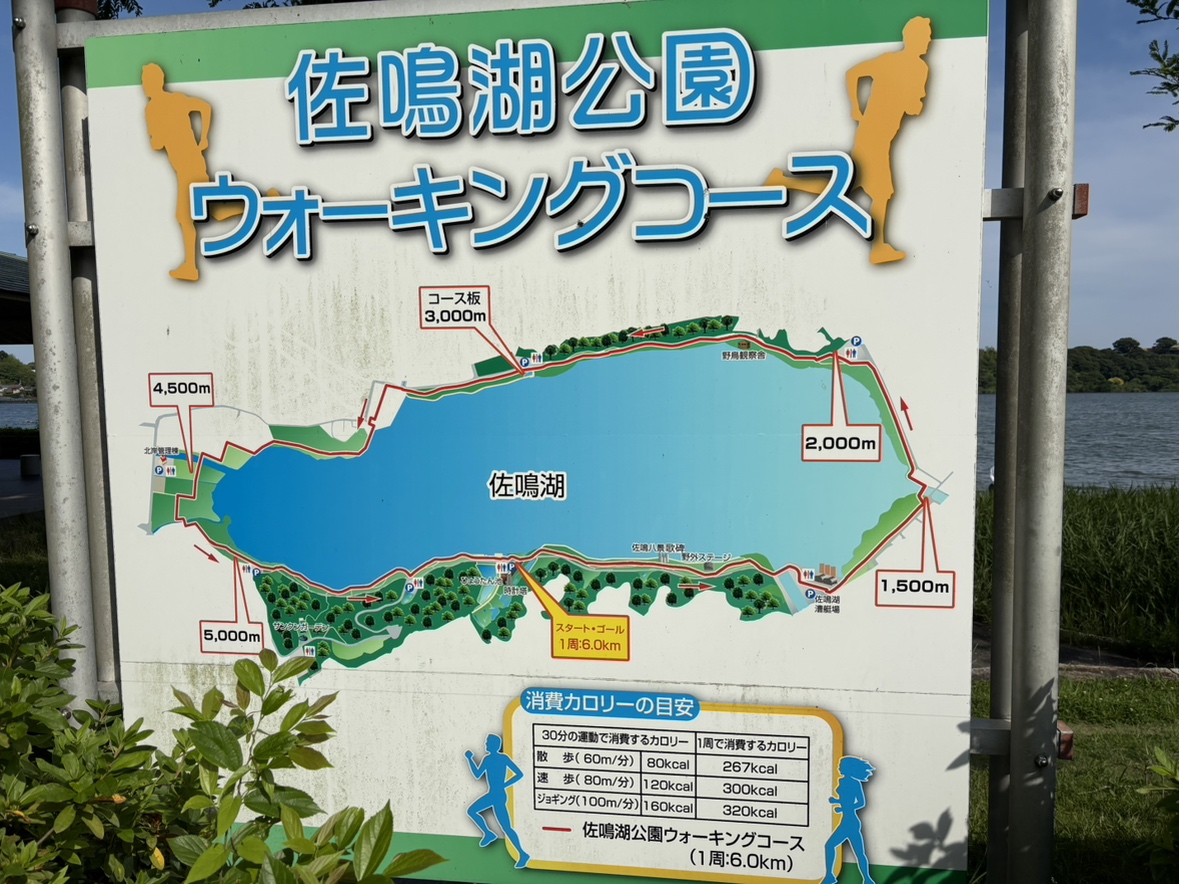 佐鳴湖ウォーキングコース