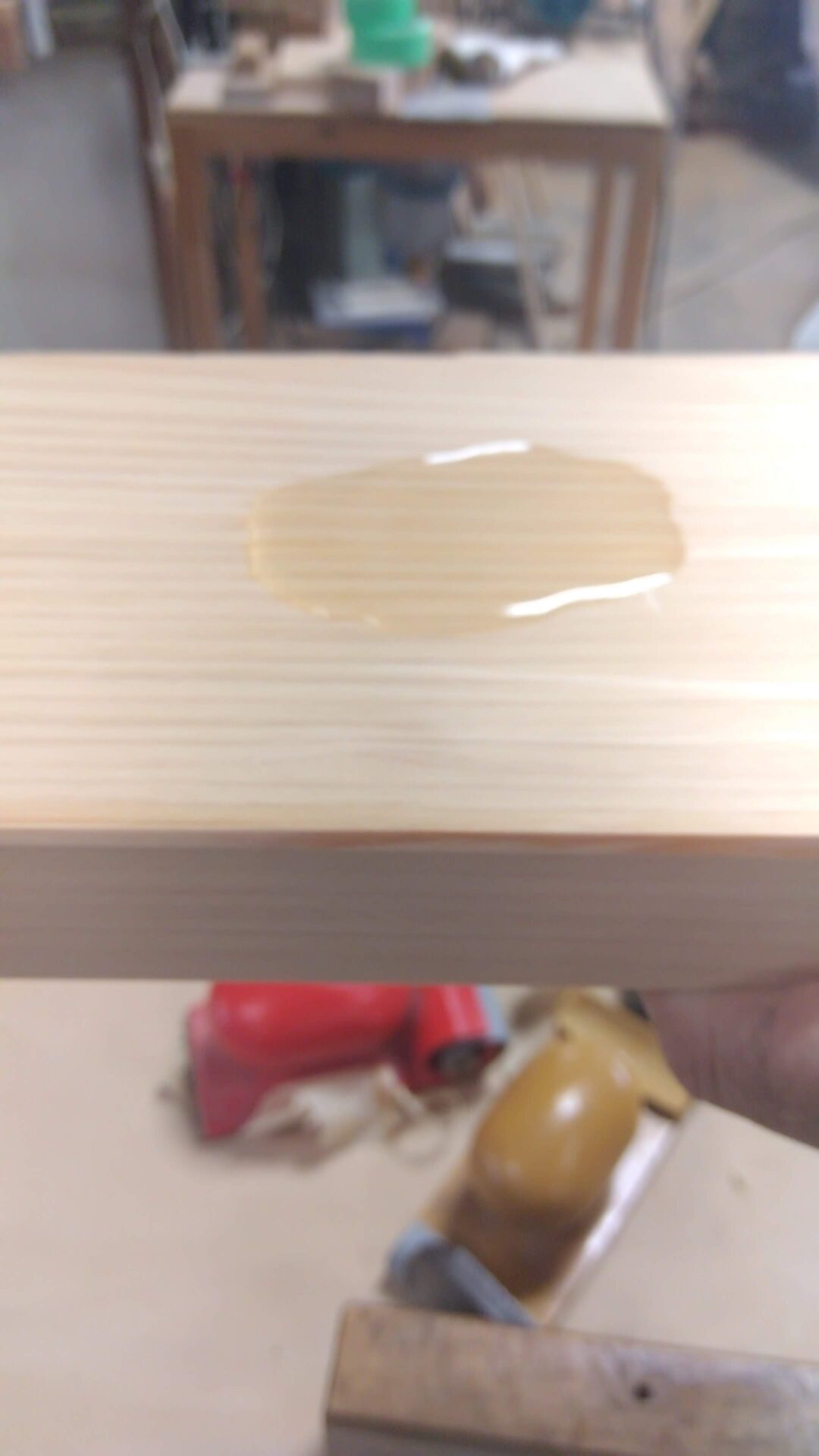 木が水をはじく様子