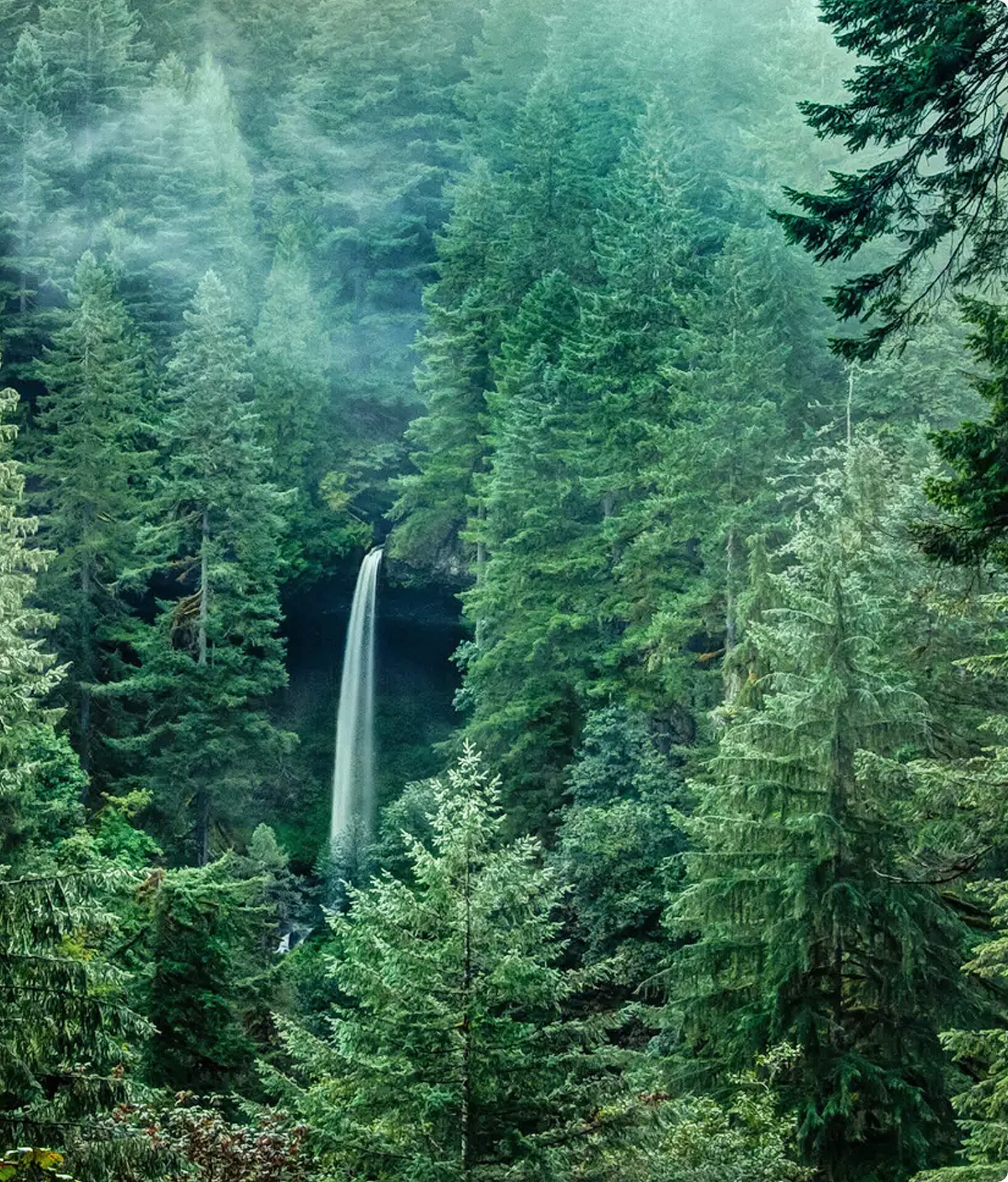 一邸一邸、テーマを宿した家づくり