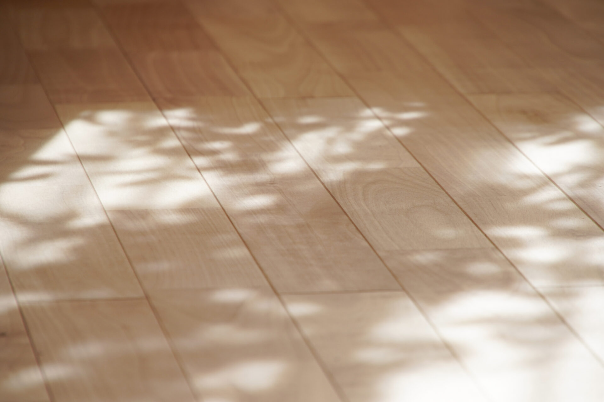 流行に流されない、本質から考える家づくり