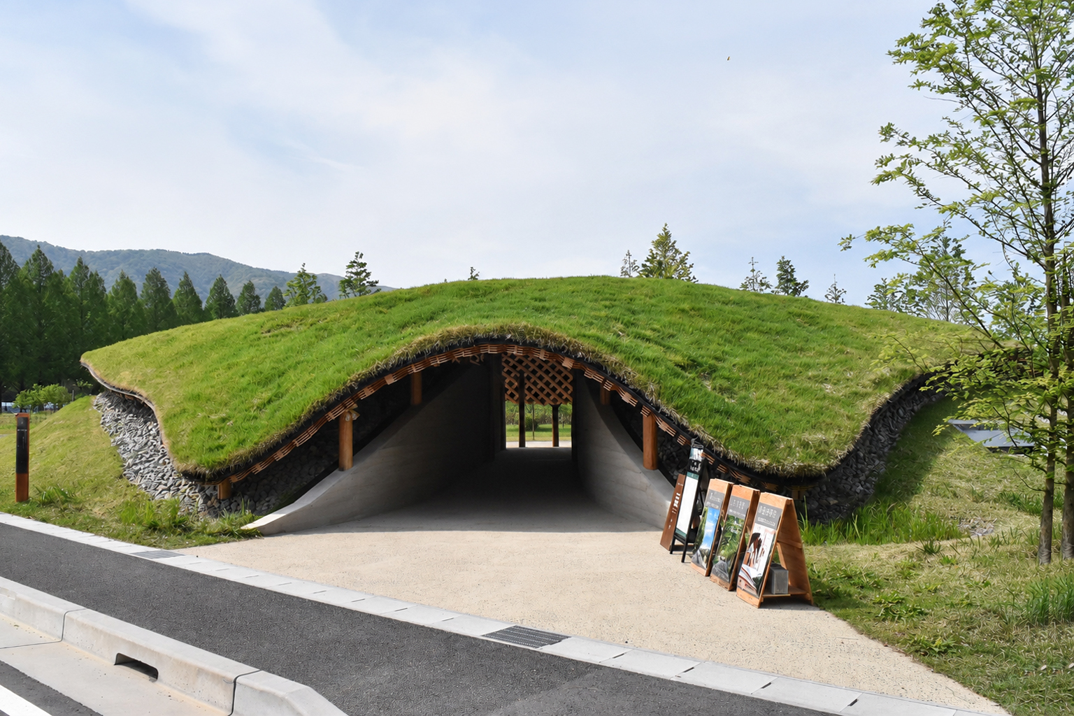 芝生で覆われた建物