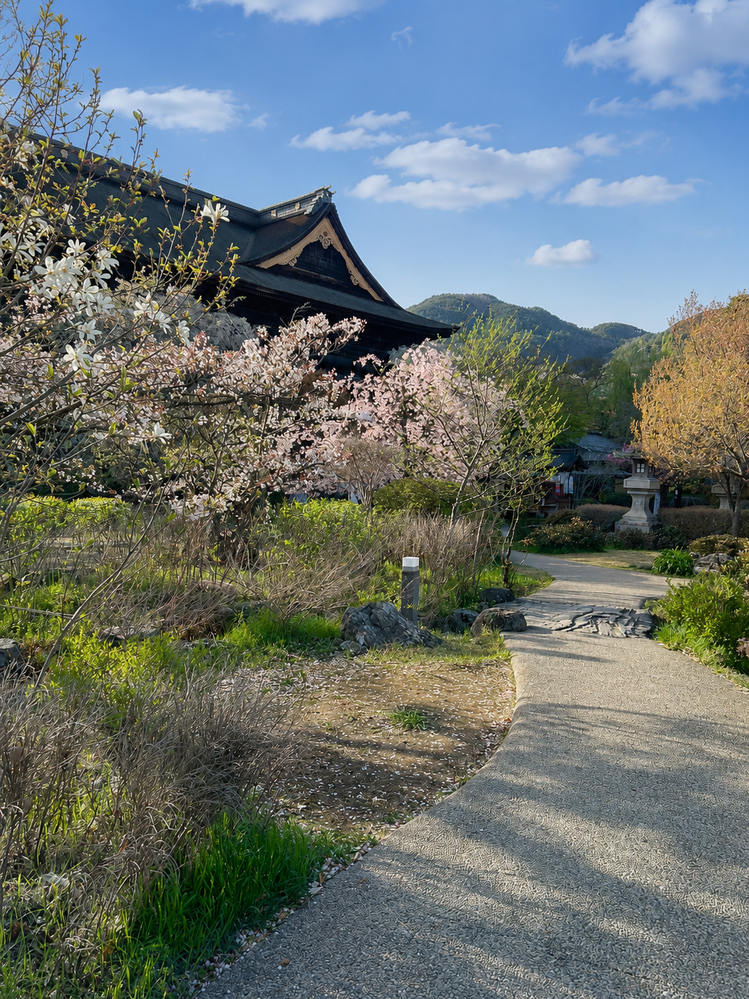 4月の善光寺の様子