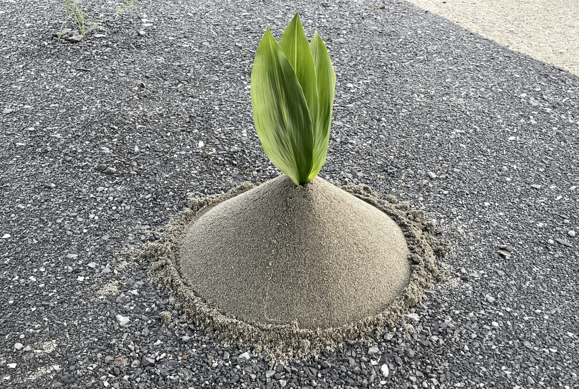 地鎮祭の様子