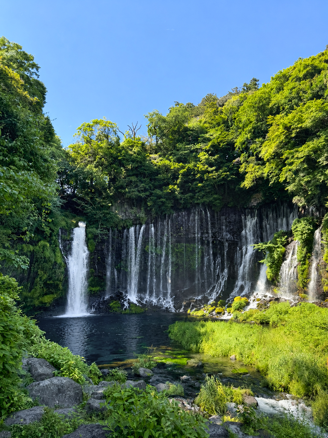 白糸の滝を訪れました