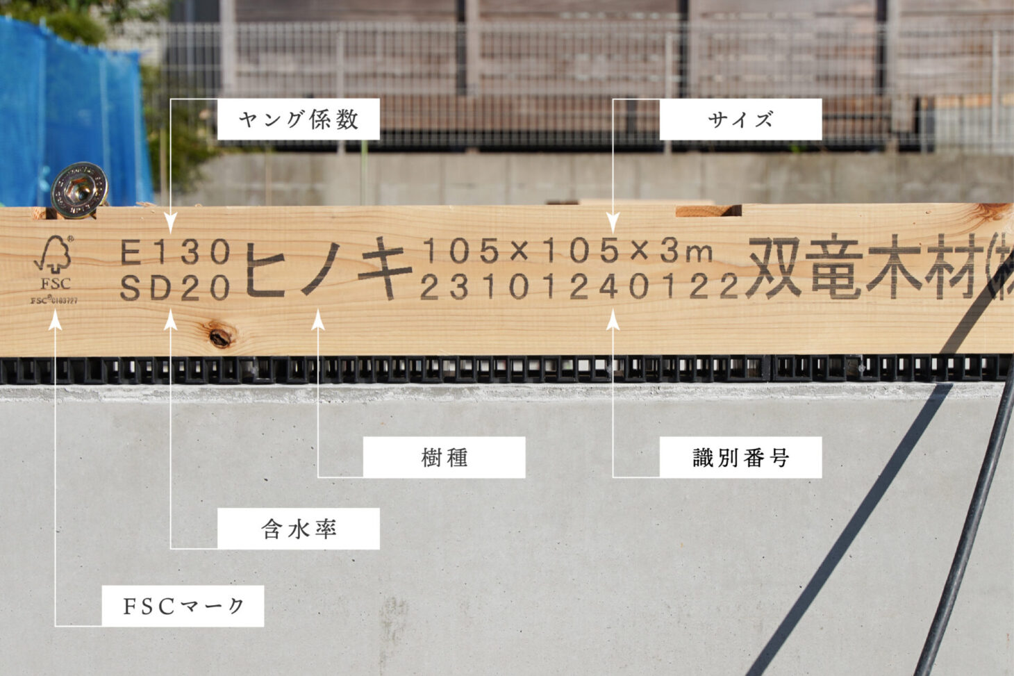 測定結果が印字された天竜ヒノキの構造材