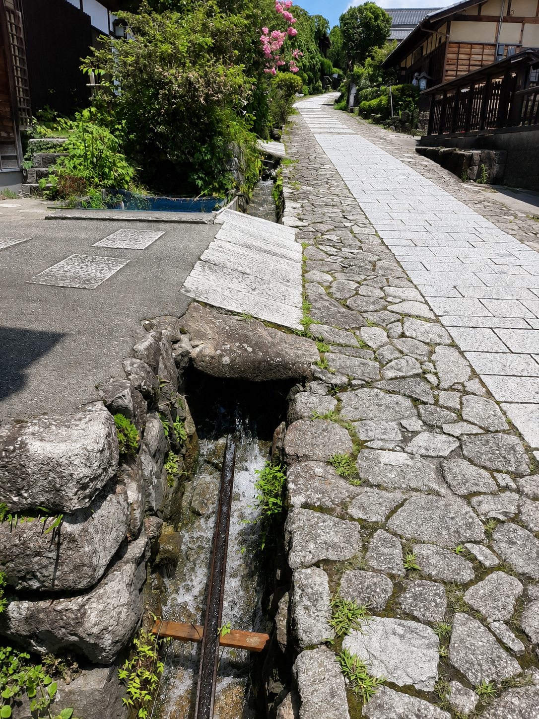 水路の様子
